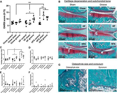 Effects of different obesogenic diets on joint integrity, inflammation and intermediate monocyte levels in a rat groove model of osteoarthritis